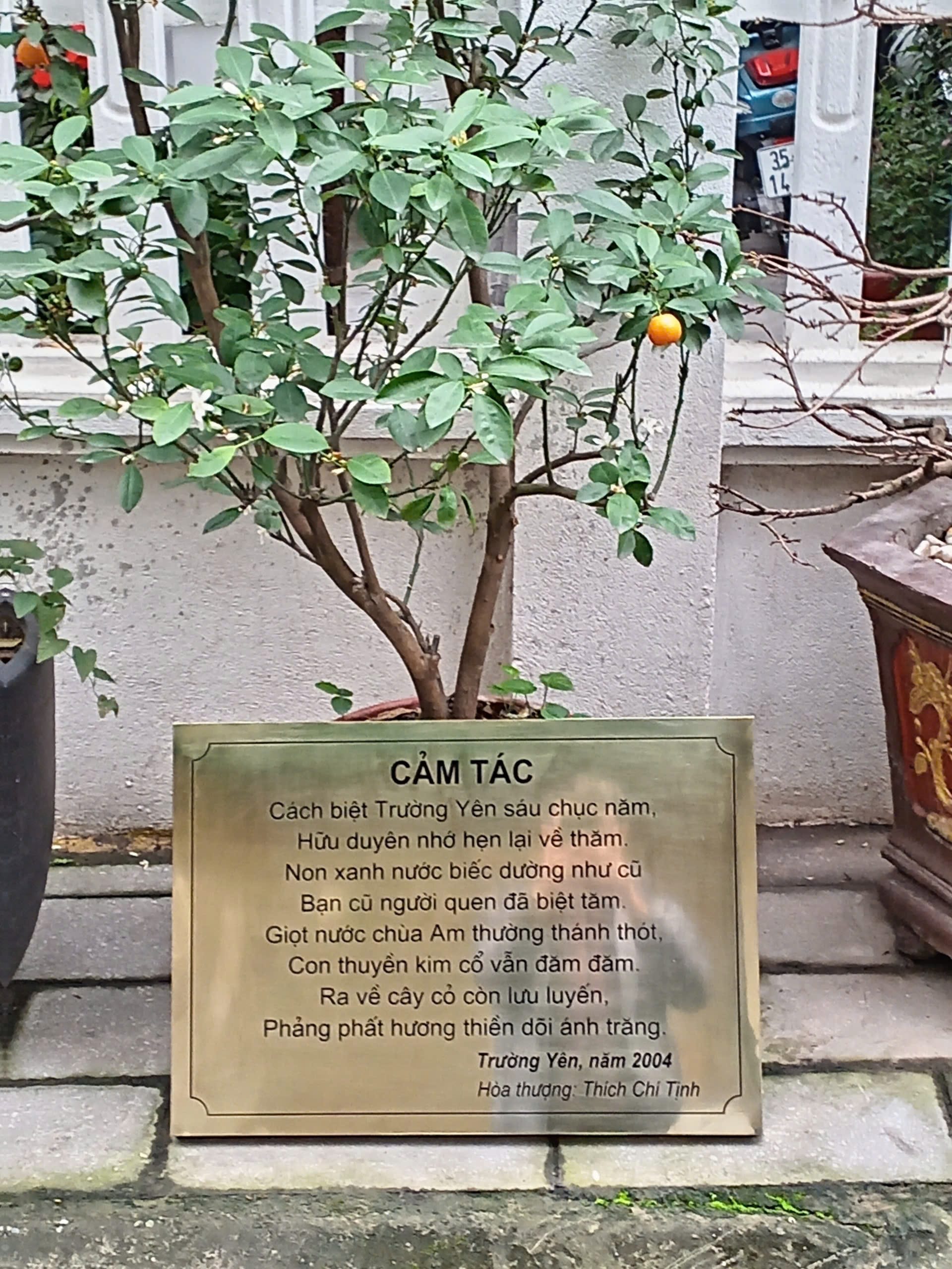 MÁY ĂN MÒN KIM LOẠI